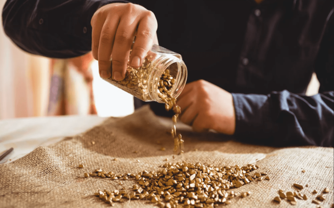 Hurricane Harvey, The New Adjuster Gold Rush