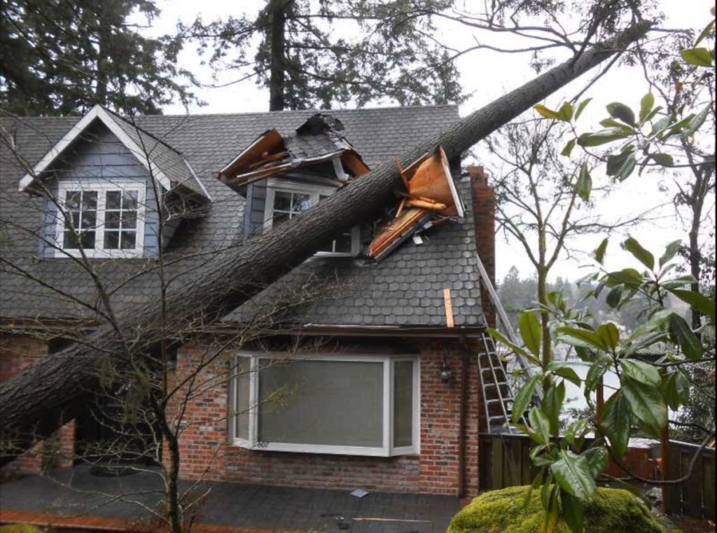 catastrophe adjusting property damage